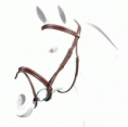 Equipe Flash Bridle