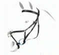 Equipe Grackle Bridle