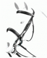 Equipe Weymouth Bridle